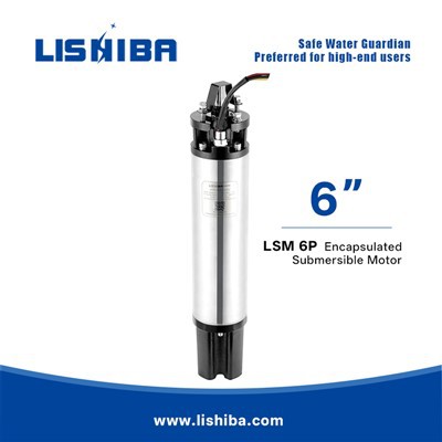 Zapuzdrené elektrické motory